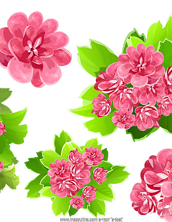 test1 'eeee'