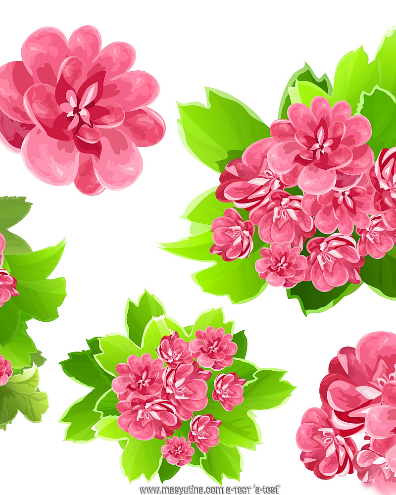 test1 'eeee'
